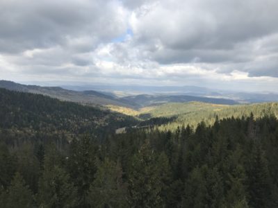 IMG_0976