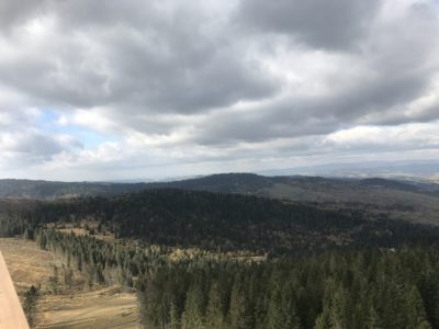 IMG_0979